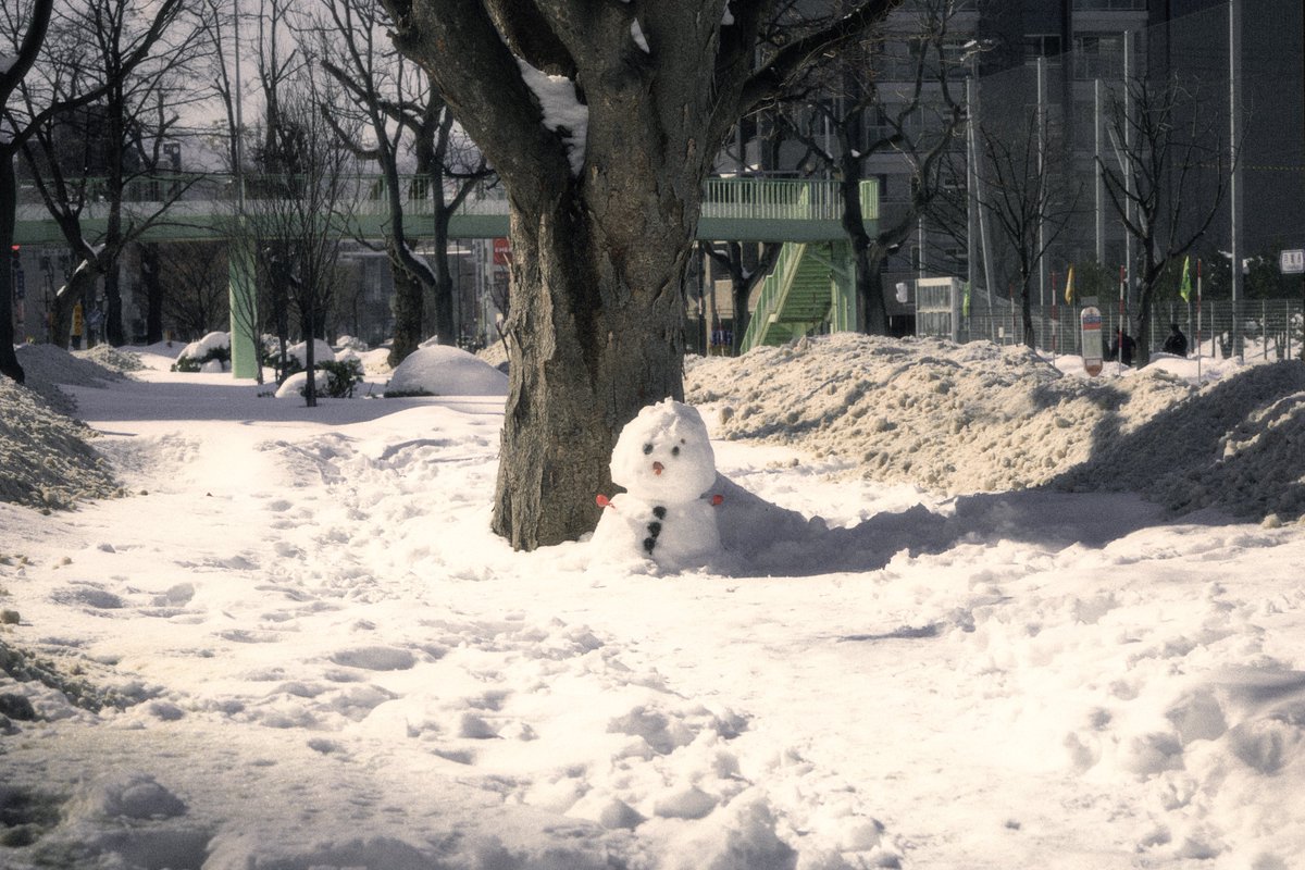 hnyriw's tweet image. 