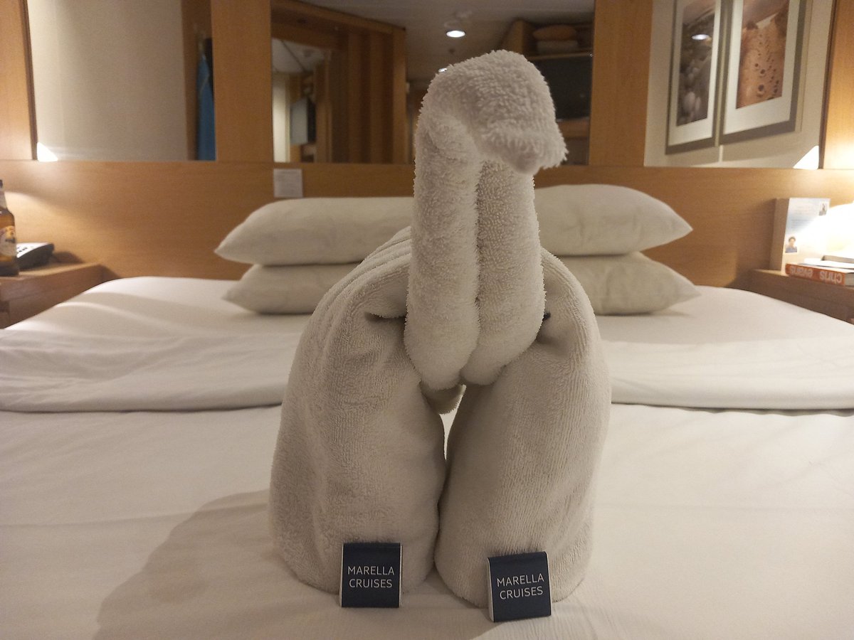 francewitch's tweet image. I have no idea wtf this towel art is..is it rude ? .. but it's much appreciated 👏 . Looking forward to getting on land tomorrow 😀.  I must admit I've been struggling a bit..#mentalhealth and #concentration find hoardes of strangers behaving like they do... and missing Arthur 😢