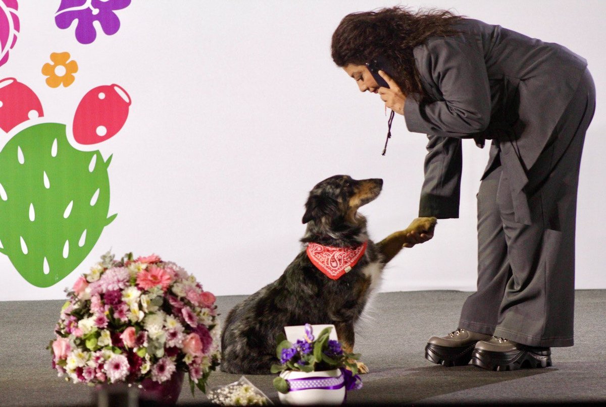 SAPCI_CDMX's tweet image. La #JefaDeGobierno, @ClaraBrugadaM, junto con el equipo de la #SAPCI y nuestro titular @tomaspliegoc, estuvieron en el Zócalo de Gobierno Ciudadano para atender de forma directa las solicitudes y propuestas de las y los capitalinos en la #CapitalDeLaTransformación.