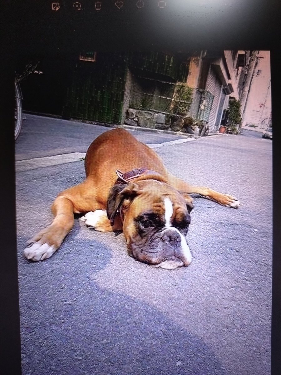 funkfunkfunk3's tweet image. 📻️自転車のエピソードか〜💥🫣 少年時代のシャレにならん事故とか有るケドね 🚲️40代 平野東に住んでた時はレトロなミヤタの実用車とウエルビー号 運搬車に乗ってたで🎶#まちゃお765 #昭和レトロ