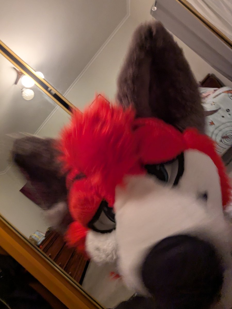 ⚡Haz Fox ⚡ tweet media