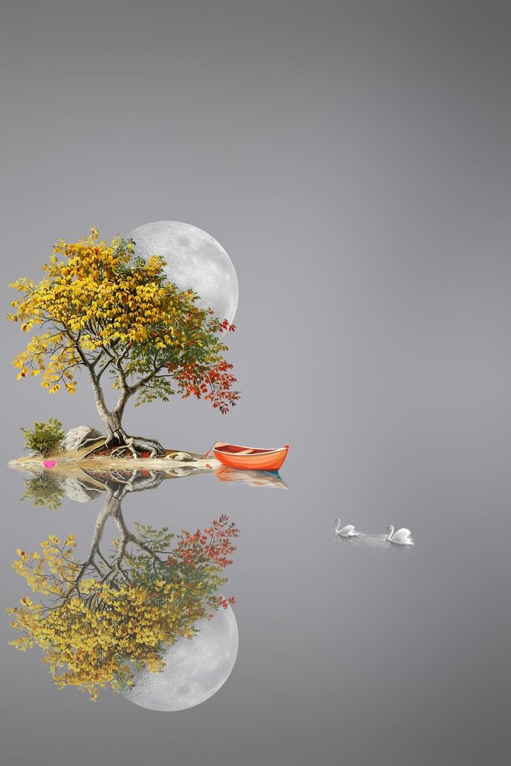 🤍💛🤍💛🤍💛🤍💛🤍💛