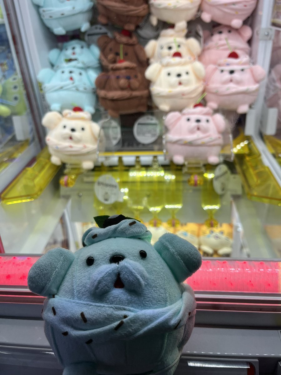 早速プライズホイプー取ってきました！
初めてみるタイプの筐体で難しくて大苦戦しました🥶
 #ホイプー