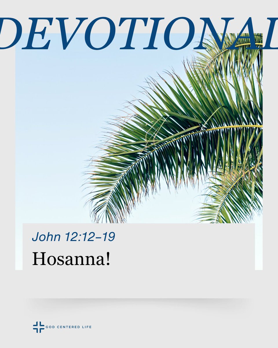 drjoshmoody's tweet image. Jesus is now greeted not just with pleasure, but with adulation, praise, and indeed worship. The extent of this fulfillment of Old Testament promises is not grasped at the time, but later the disciples realized all that had been spoken of Jesus was being fulfilled in this…