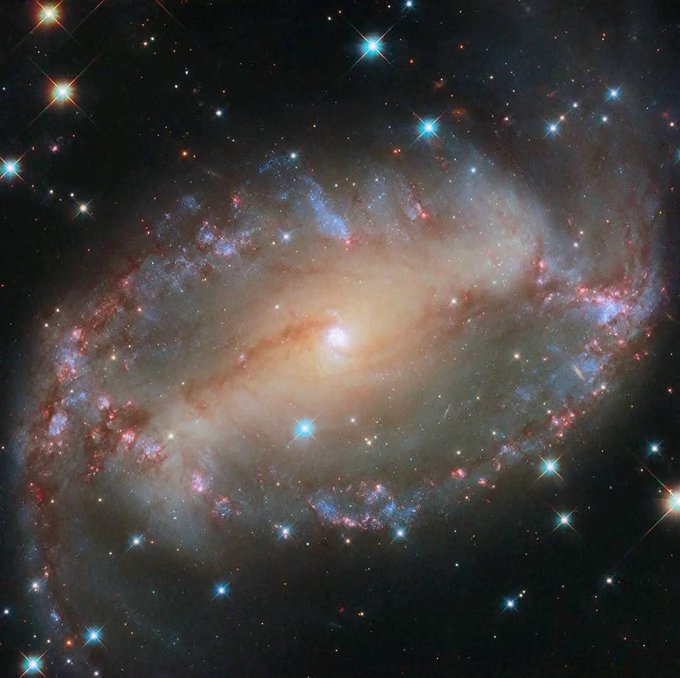 konstructivizm's tweet image. Cosmic Vigil:Captured in exquisite detail by the Hubble Space Telescope, the spiral galaxy NGC 2566 holds court from 76 million light-years away, nestled in the southern constellation of Puppis. A commanding bar of luminous stars cleaves its core like a radiant spine, birthing…