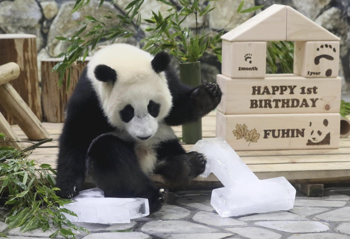 Hana_55 (@hana_byd) / Posts / X