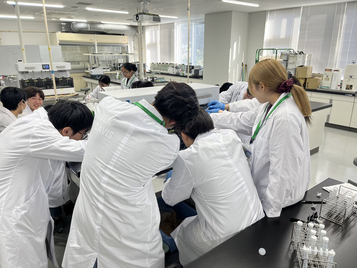 LPC_Josai's tweet photo. 2年生の薬科学実習が行われました！
今回は経口製剤の基礎を、製剤の作り方から薬の放出まで一連の流れで評価する実験でした！

#薬科学科　#城西大学　#薬学部　#研究 https://t.co/apEd9swlUr