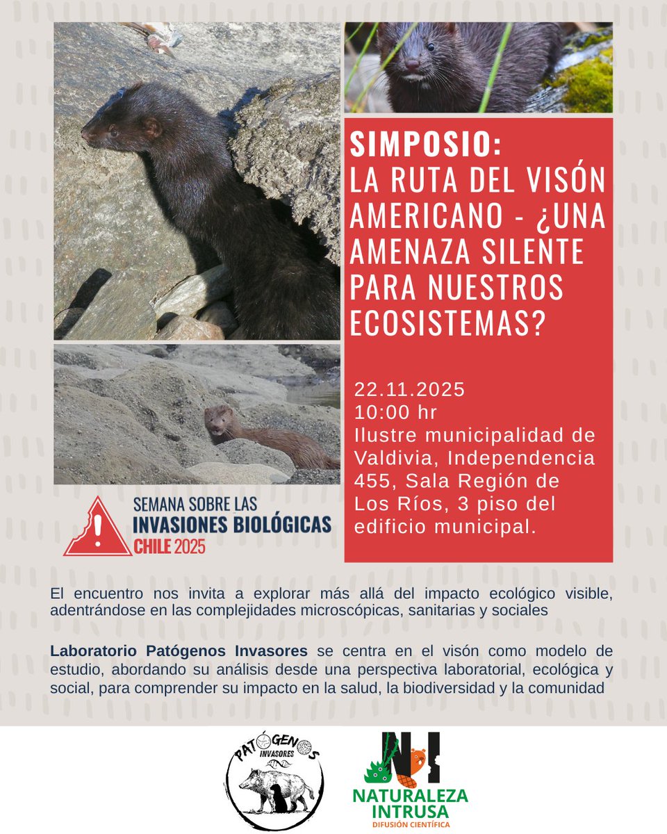 Naturaleza Intrusa tweet media