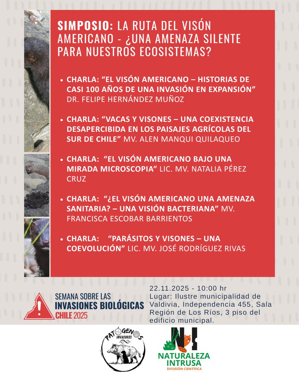 Naturaleza Intrusa tweet media