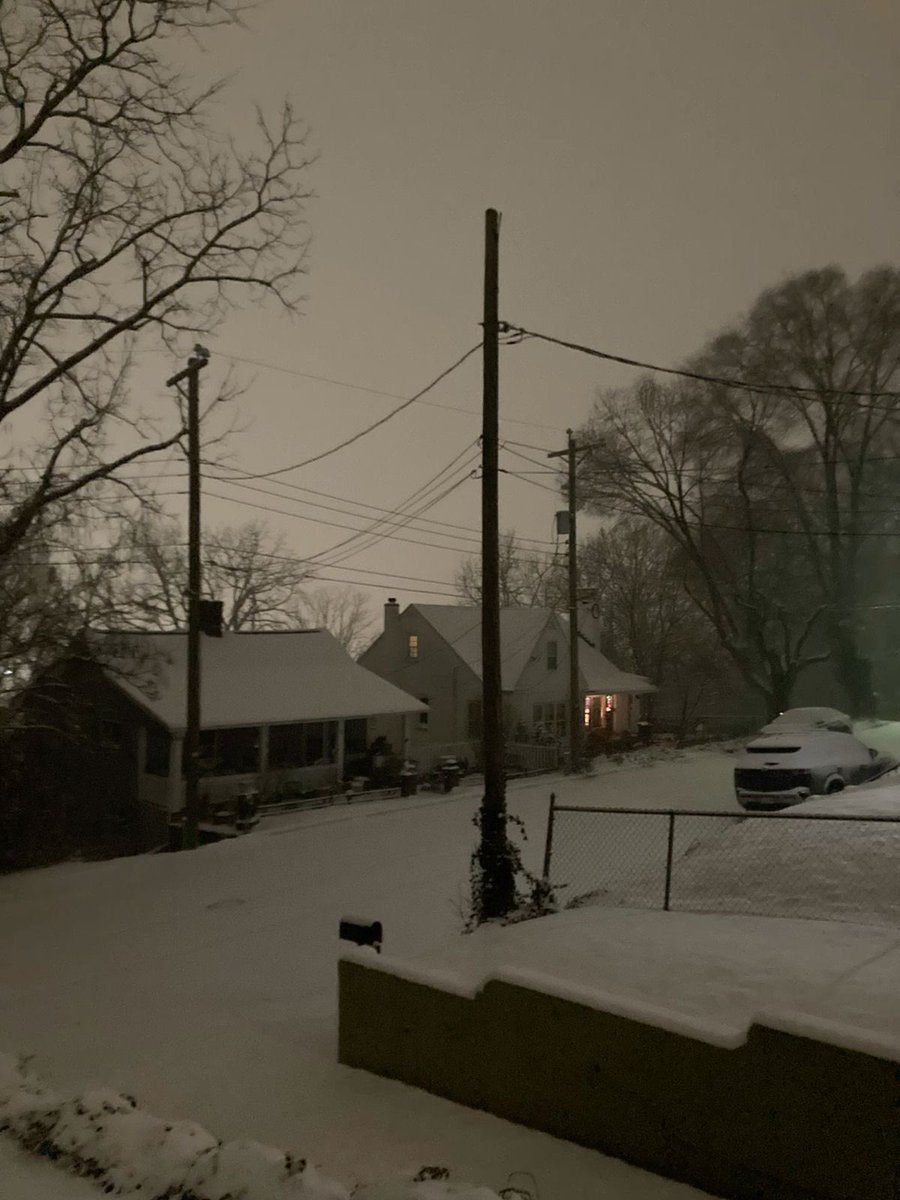 dreamland_usa's tweet image. 