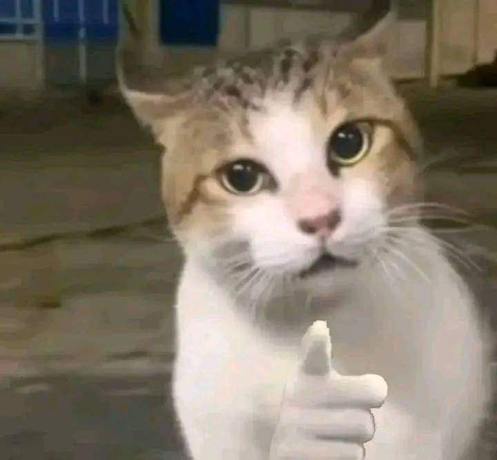 Morning guys,

Bro calls himself a reply guy but won’t even reply to this post