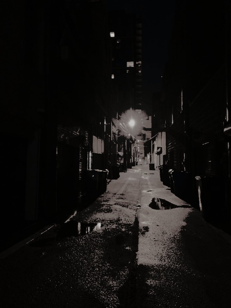 gravitaforzata's tweet image. 