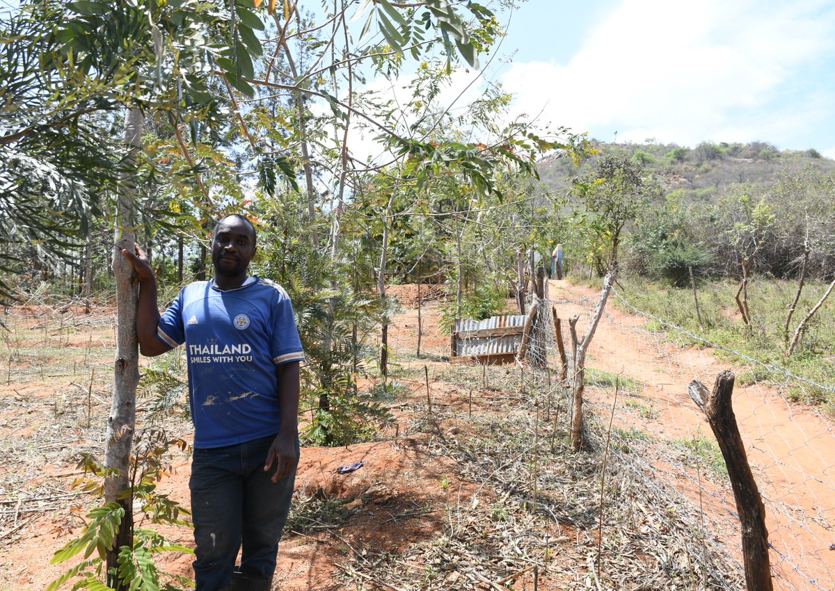 Africa Sand Dam Foundation (ASDF) tweet media