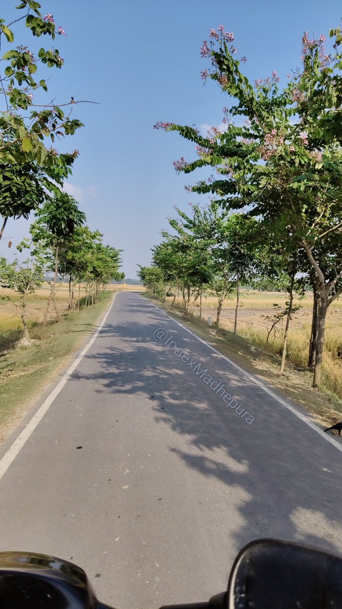 नमस्कार! मैं हूँ बिहार से 'गाँव कुमार'। 
शुभ प्रभात। मेरा अभिवादन स्वीकार कीजिए।🙏❤️

सुबह के 8 बजे हैं, और यहाँ का तापमान 15°C दर्ज किया गया है। AQI, 10 से नीचे &amp; इंटरनेट, 500 mb/s से ऊपर है। ठंडी हवा और पक्षियों की मीठी चहचहाहट के साथ, नज़ारा बहुत मनमोहक है।

आपका दिन शुभ हो।🙏