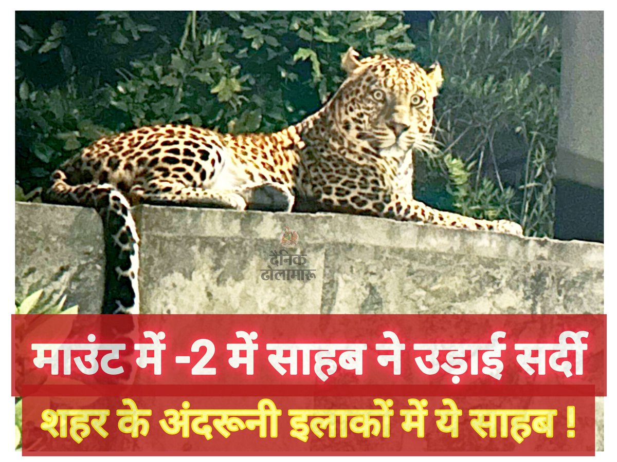 dholamaru4's tweet image. माउंट आबू में माइनस तापमान के बीच पैंथर का दिखना रोमांच बढ़ा गया। कड़ाके की ठंड में अचानक गर्मी का अहसास दिला देने वाला नज़ारा… 
.
#MountAbu #Panther #Wildlife #SnowyWeather #Rajasthan #NatureBeauty #ColdWave #Trending #ViralVideo