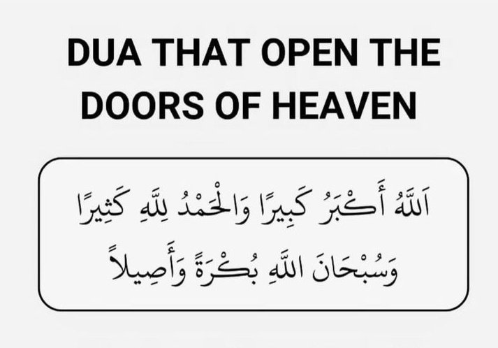 Amna Naeem tweet media