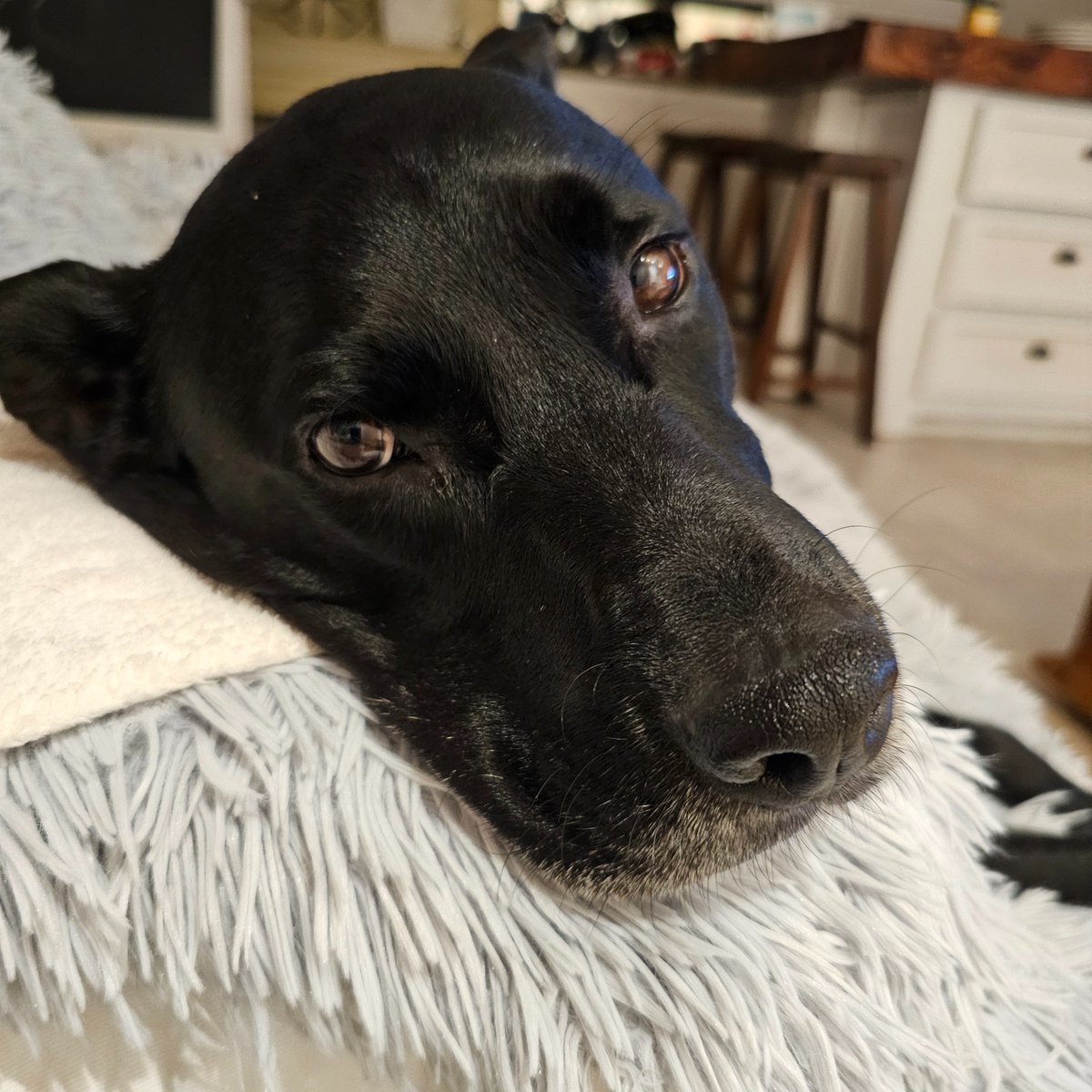 Hello Friends, this rain is exhausting 🙃