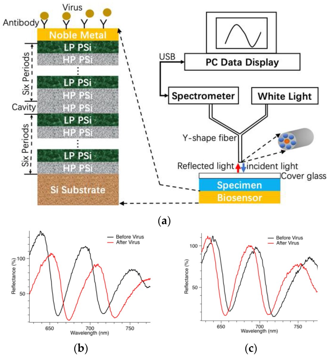 Biosensors_MDPI's tweet photo. 📣Call for Reading:
#Article
Machine Learning Techniques for Effective Pathogen Detection Based on Resonant Biosensors
by Guoguang Rong, et al.
https://t.co/g5g8L2GCfE
#PathogenDetection #resonant #SVM #LSPR #MachineLearning
#biosensors #mdpi #openaccess https://t.co/EPYoVxLNjY