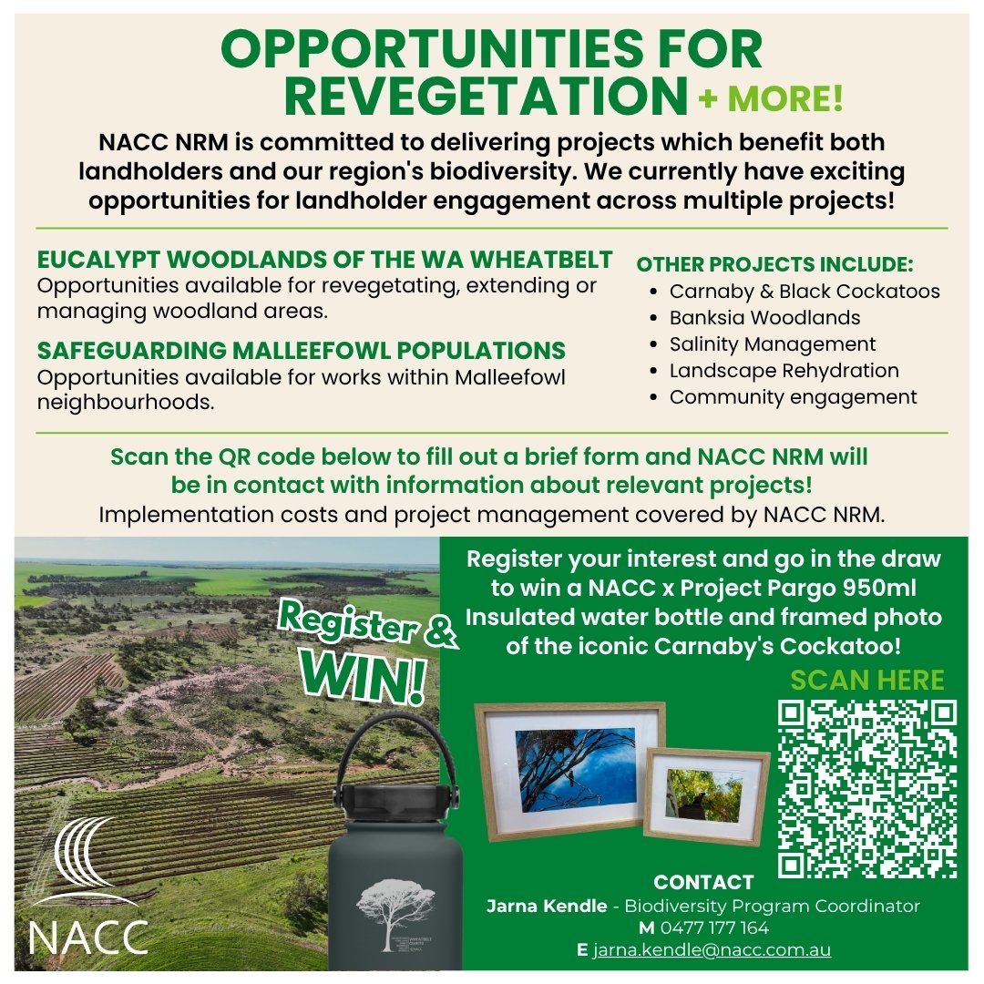 🌱 <a href="/NACCagriculture/">NACC NRM Sustainable Agriculture</a> is seeking EOIs from landholders in the Liebe region for upcoming regeneration opportunities.
Submit your EOI via the QR code below
🌾 #NACC #LiebeRegion #Landcare #Regeneration