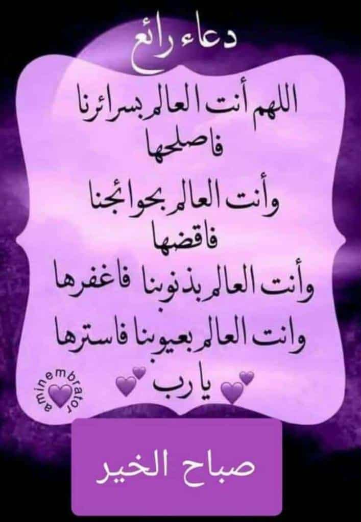 k5Ap5OJU4uSLtS1's tweet image. 