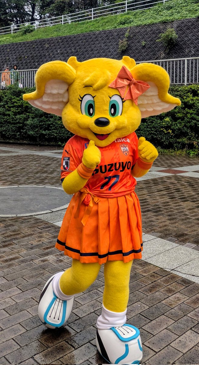 この間の滝行…もとい試合の写真整理していたんだけど、#ピカルちゃん はホントにリスペクトよ✨
何がスゴイかって、見て、振り向きざまの絶妙な足の上げ方、ポージング🐱雨の中いきなり呼ばれてこんな格好できんて👀
女子としててか生き物としての敗北を感じる

#spulse 
#パルちゃんず