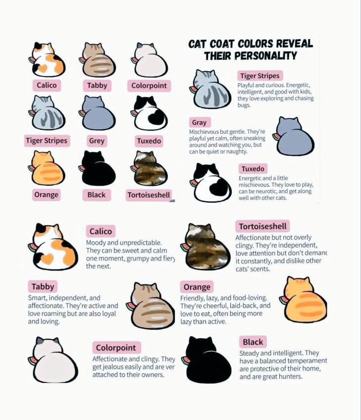 𝐈𝐜𝐥𝐲𝐧 𝐍𝐢𝐞𝐯𝐞𝐬 tweet media