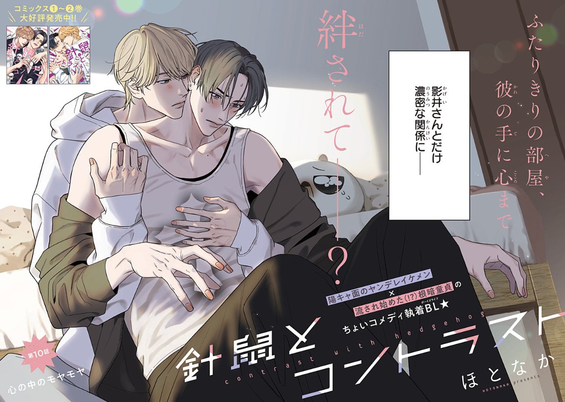 ore_wake's tweet photo. ＼#針コン 10話後編更新💜／
お待たせいたしました🙏
 針鼠とコントラスト10話後編更新しました！
同棲生活のさなか、ちょっかいをかける影井に、明石はついほだされそうに――？

コミックス②巻の続き、ぜひ楽しんでお読みください📚
https://t.co/NZ859jNFMJ https://t.co/Hvgs6rmlfB