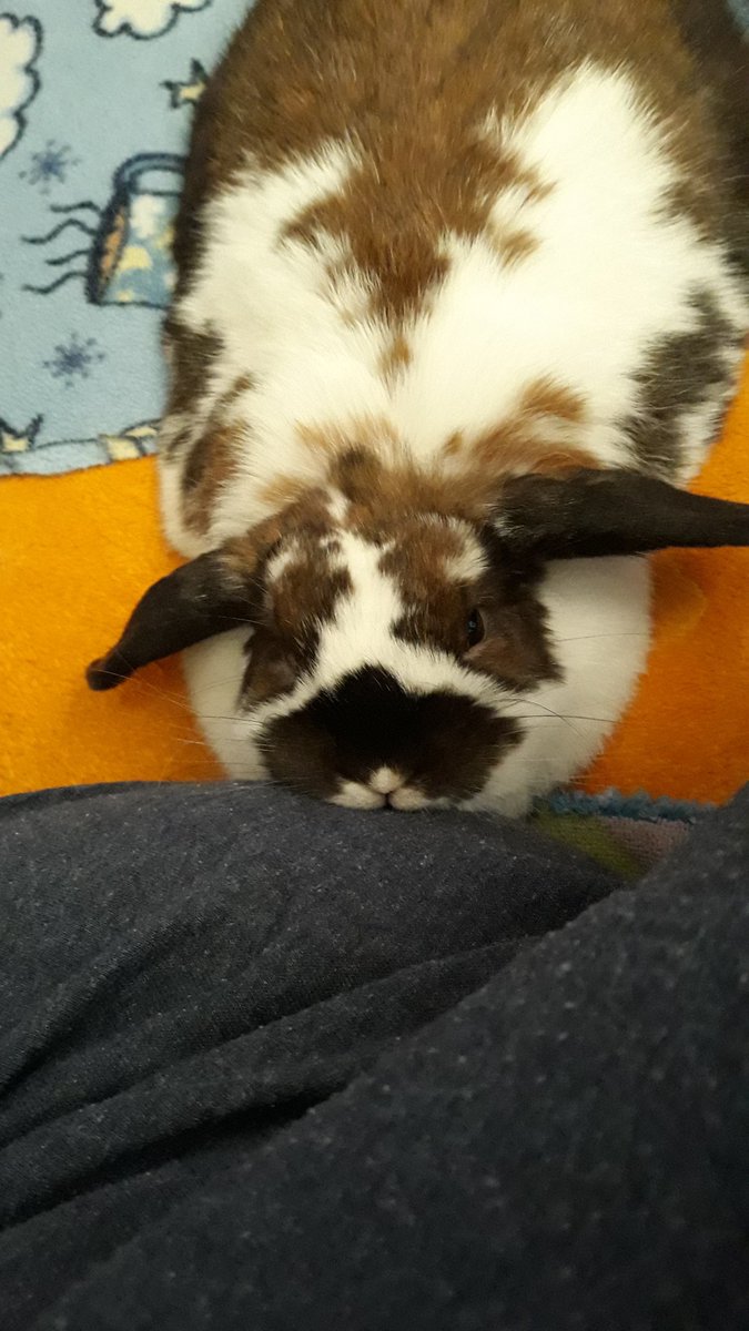 KristyTracey's tweet image. 