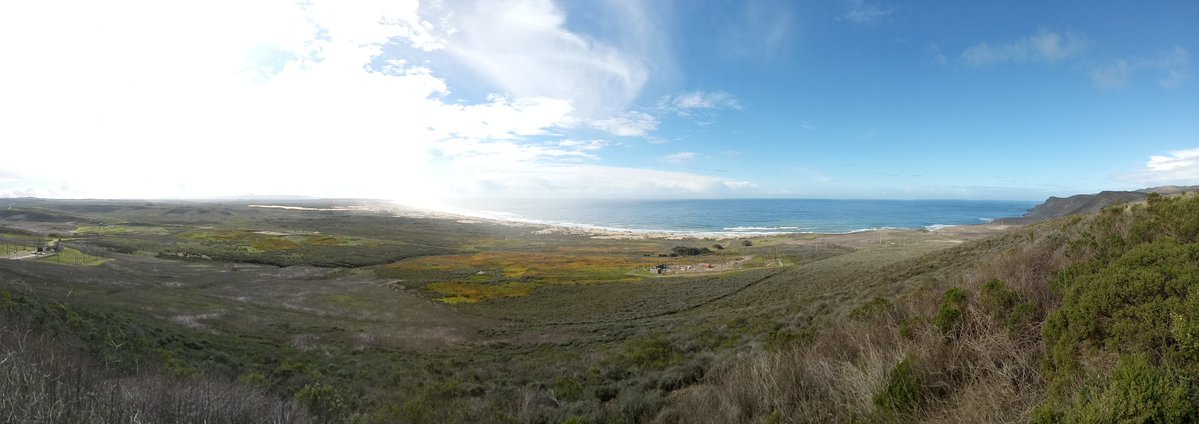 Katrina_Lexxa's tweet image. It was a beautiful day at work today.