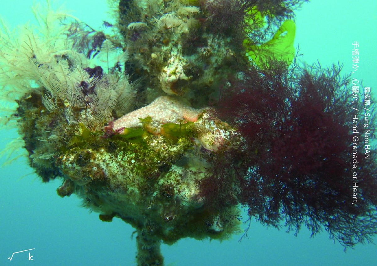 SungNamHAN's tweet image. 2025年12月6日（土）〜27日（土）に東京で個展を行います。
3年前の12月、京都芸術大学でのICA京都成果発表から継続してきた「海の中の美術館」プロジェクトに関する展示です。
ぜひお越し下さい。
最新イベント情報は√K Contemporary web サイト、SNS にてお知らせします。

root-k.jp/exhibitions/ro…