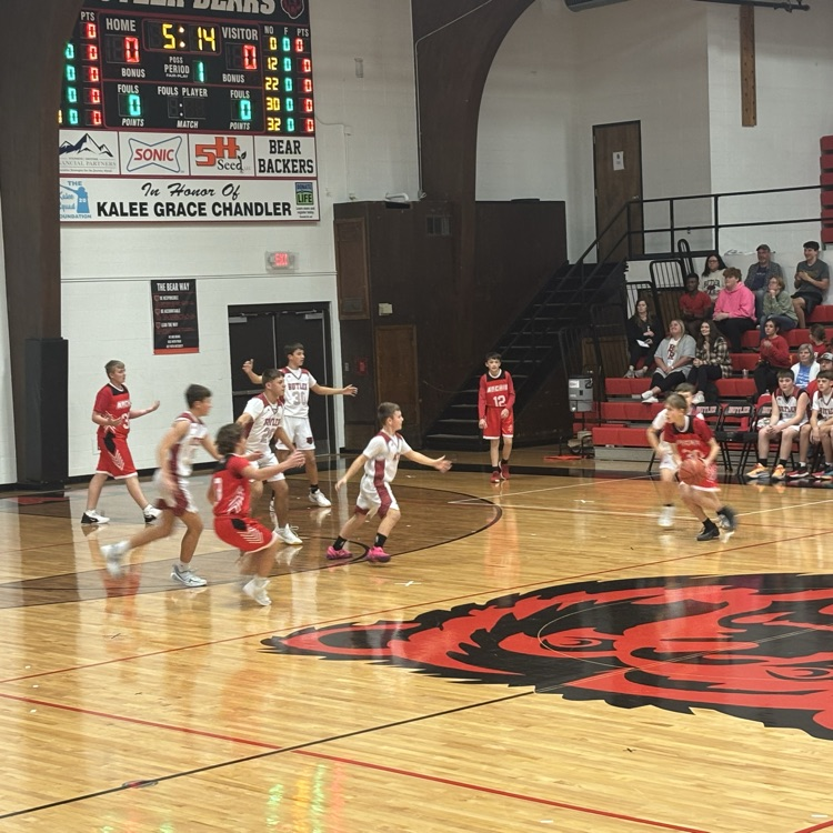 archie62237's tweet photo. Congratulations to the JH Lady Whirlwinds A and B teams for coming away with wins tonight against the Butler Bears! Both JH boys teams played hard but came up short. #ArchieStrong https://t.co/nJtaJWf6gn