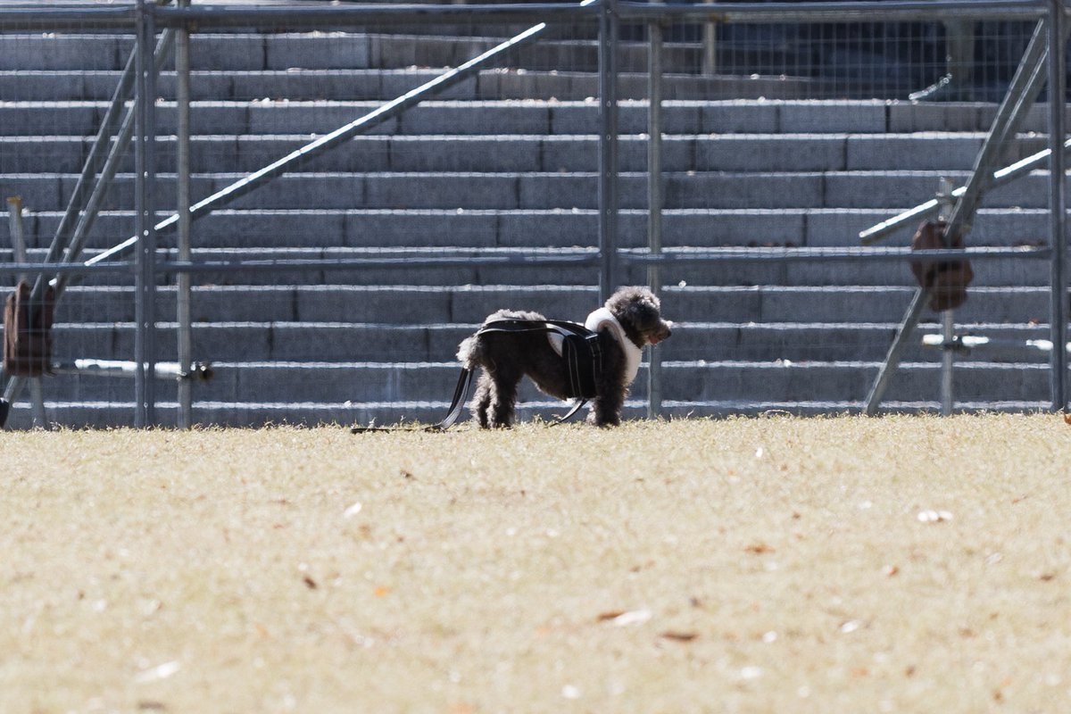 namiheyphoto's tweet image. 寒空の下。

#Canon
#eosr6mark2