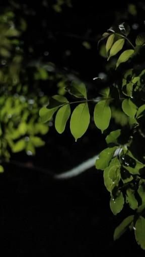 miralaldossary's tweet image. 