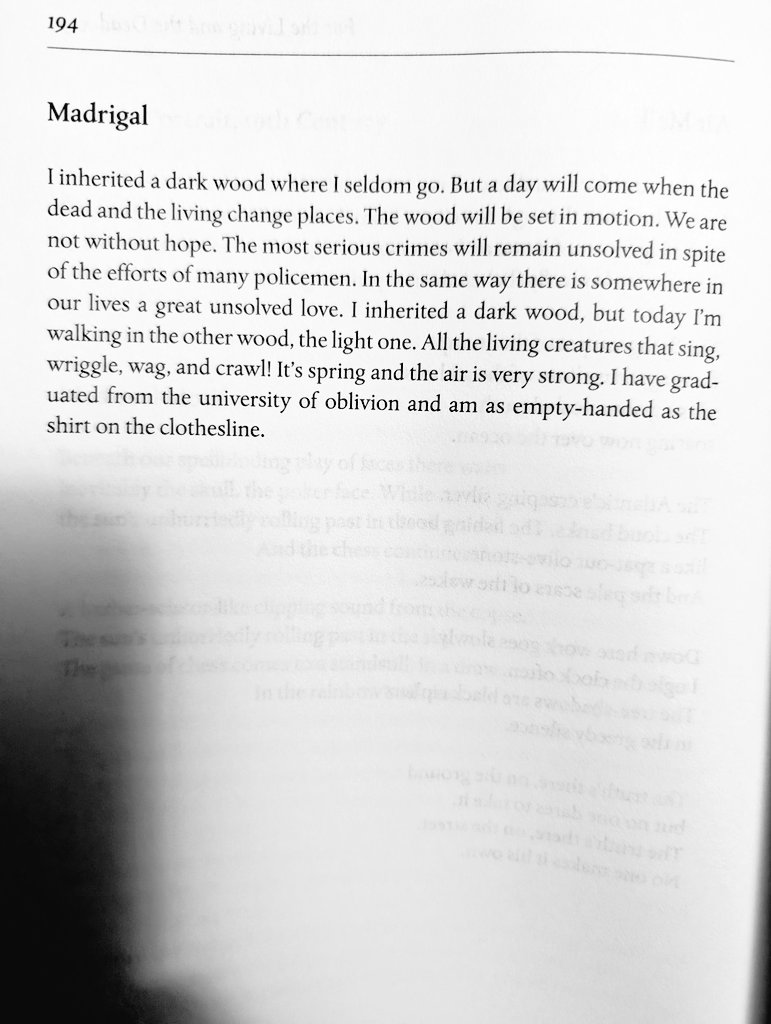biancastone's tweet image. I inherited a dark wood, but today I&apos;m walking in the other wood, the light one.

Tranströmer 
(Fulton translation)