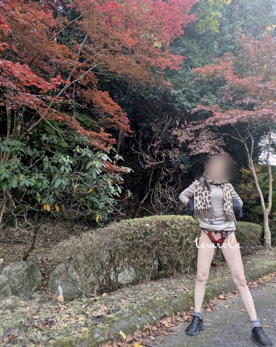 rolatomdayo's tweet photo. これなーに（柚子）
これなーに（里芋）
これなーに（ぼた餅）
これは？（渋柿）
高いからうちくれば
昨日のお兄さんのこえのかけかた

道の駅あとにして、パチリ
所々色づいてました https://t.co/Dnsjh44R4d