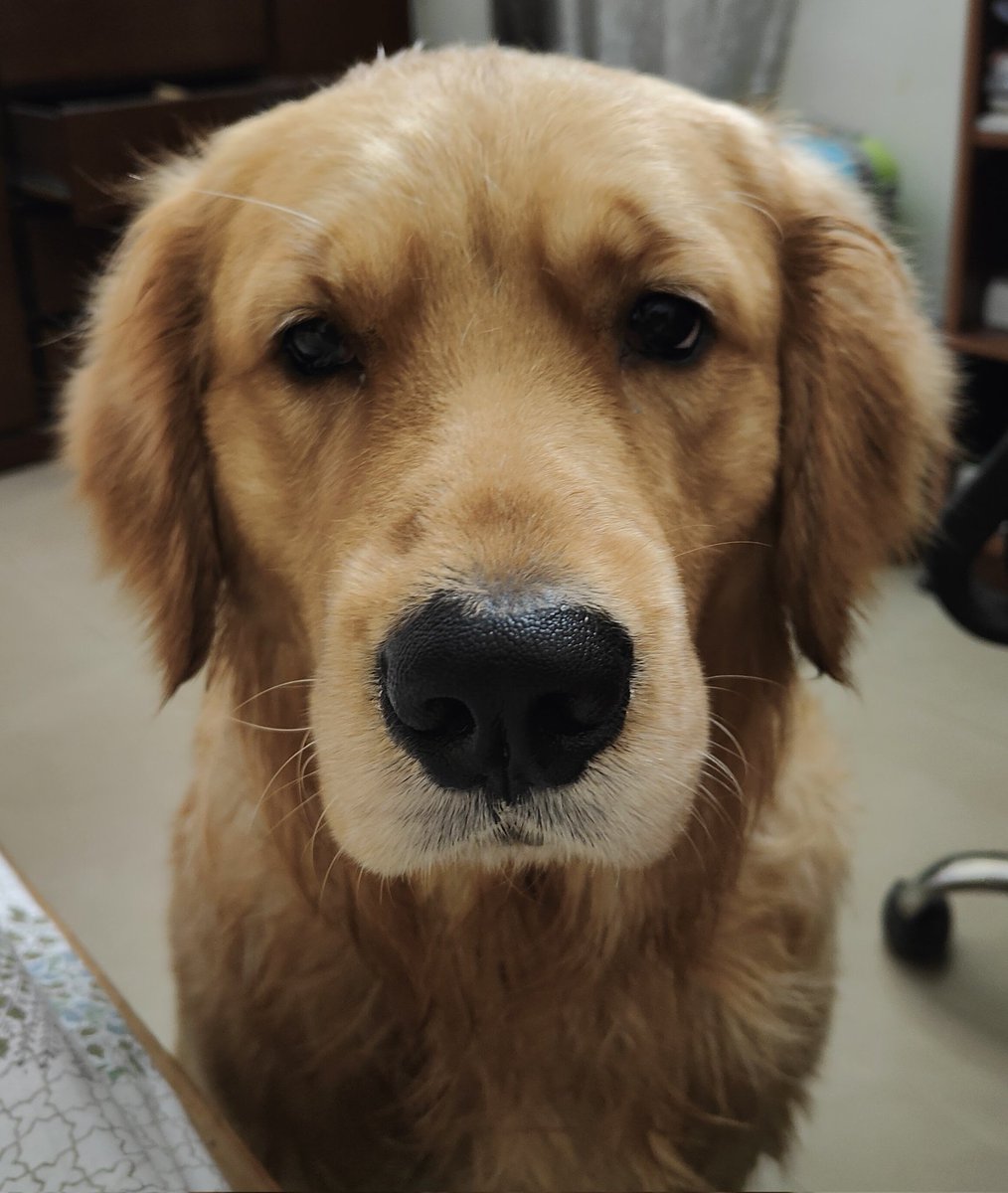 Probasibangali's tweet image. Good morning .. I am so exhausted sleeping the entire night and doing nothing ...