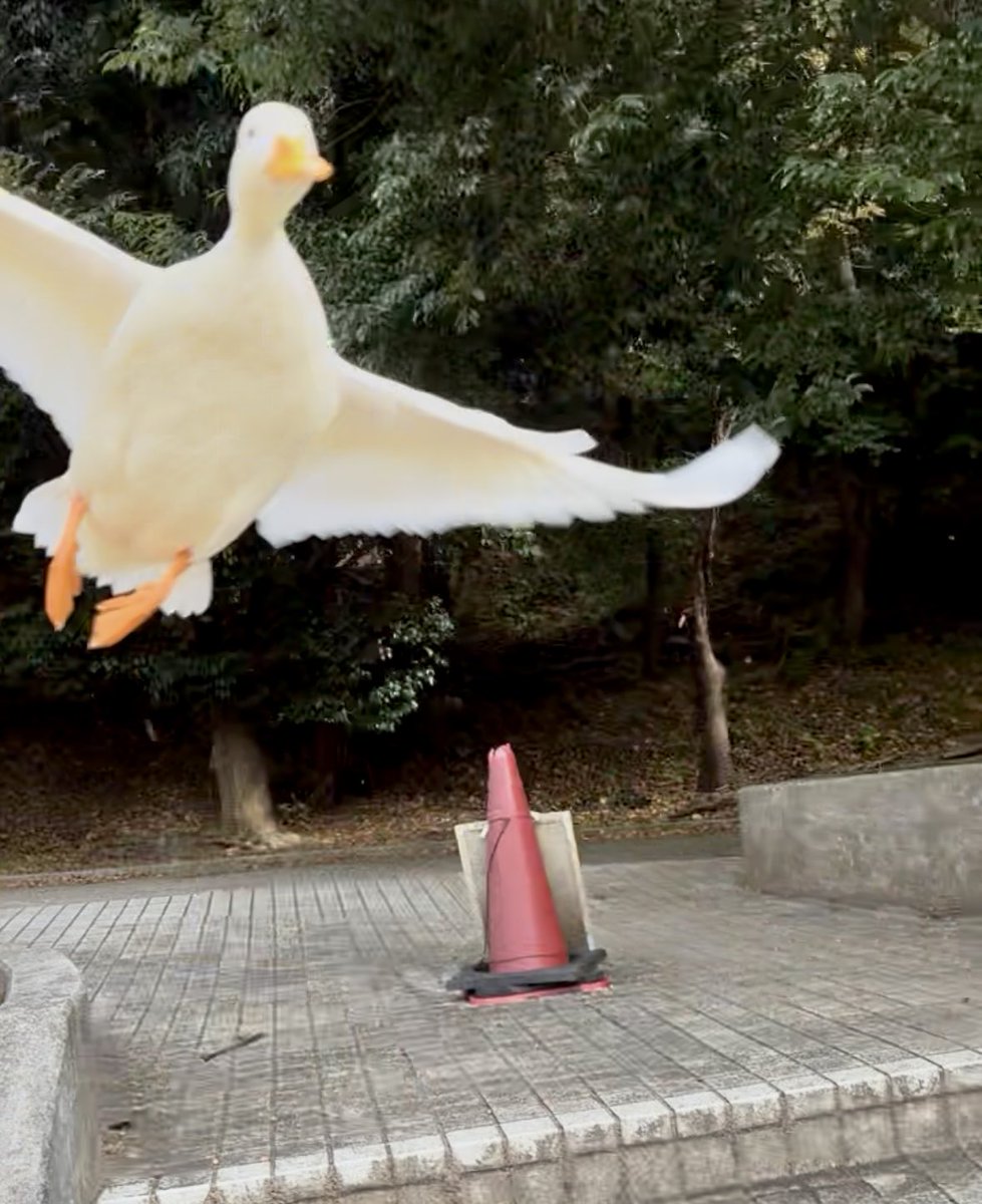 ahiraa2go's tweet image. あれ？