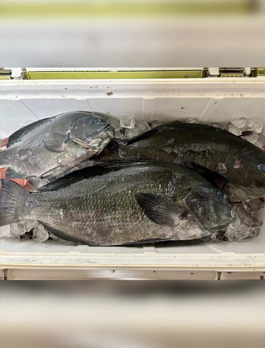 ukiya0101's tweet photo. 本日は愛媛は中泊から！
いつもUKIYAを愛用頂いてる方が
磯釣りNo,1決定戦へ出場！
去年は見事優勝🥇
今年もなんと惜しくも準優勝🥈
それでも2年連続表彰台です！
おめでとう御座います。
この模様は12/26（金）21時〜
BS釣りビジョン『F-JUNCTION』
でご覧になれます。
UKIYAも必ず観ますね！
#ukiya https://t.co/Er8bgCne0n