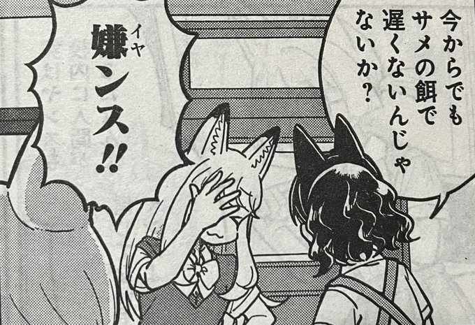 今日は単行本1巻に加えて、ウルトラジャンプ12月号も発売。
こんづくし15話16話、センターカラーもらっています。
プレゼントキャンペーンは30名様にこんづくしブランケット!
豪華!是非是非ご応募ください!🦊📨 