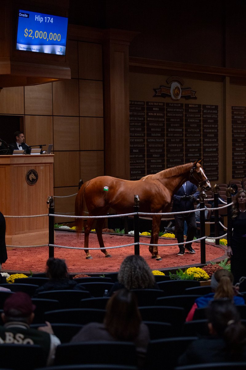 jillgordon91's tweet image. Lots of horses &amp;amp; good days recently…