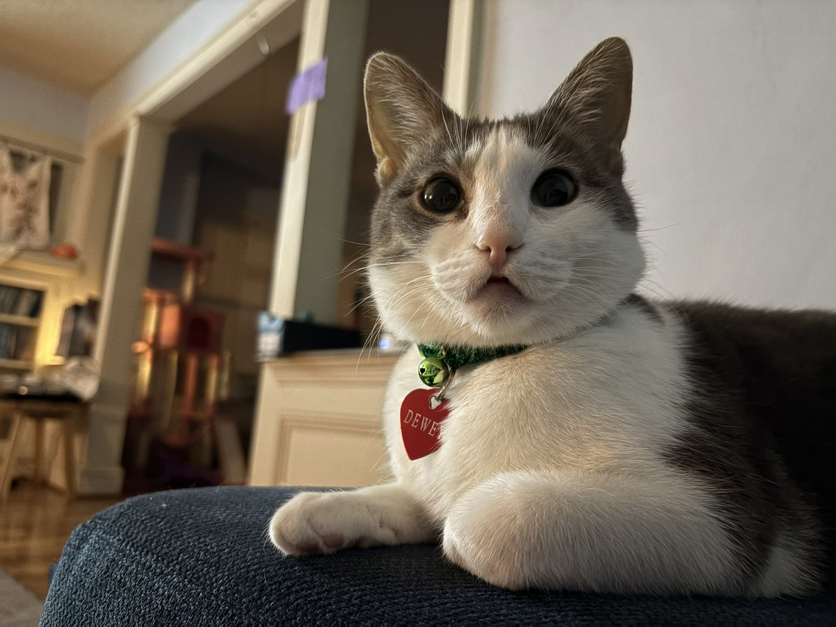 Cozy on the couch! 🩷