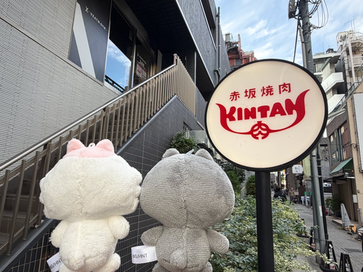 anime_nmeneko's tweet image. ╭━━━━━━━━━━━━━━━━━╮
　　　　#ンめねこ とうすくろが
　赤坂で美味しいごはん屋さんを開拓！
　　　　#今日のンめねこ飯
╰━━━━━━━━ｖ━━━━━━━━╯
焼肉の食欲がそそられる香ばしい匂いに引き寄せられた2人💨
肉厚でジューシーな牛タンに感動するンめねこでした🥹✨…