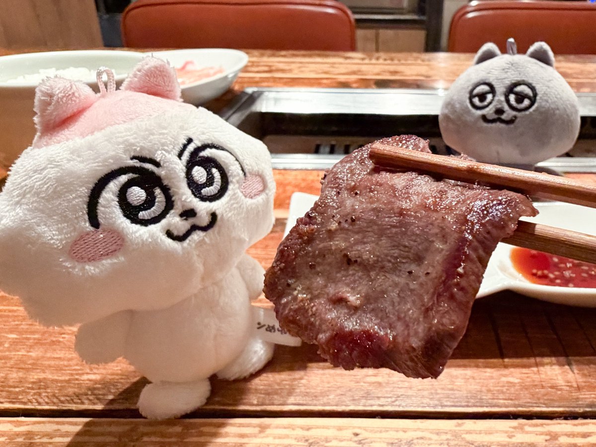 anime_nmeneko's tweet image. ╭━━━━━━━━━━━━━━━━━╮
　　　　#ンめねこ とうすくろが
　赤坂で美味しいごはん屋さんを開拓！
　　　　#今日のンめねこ飯
╰━━━━━━━━ｖ━━━━━━━━╯
焼肉の食欲がそそられる香ばしい匂いに引き寄せられた2人💨
肉厚でジューシーな牛タンに感動するンめねこでした🥹✨…