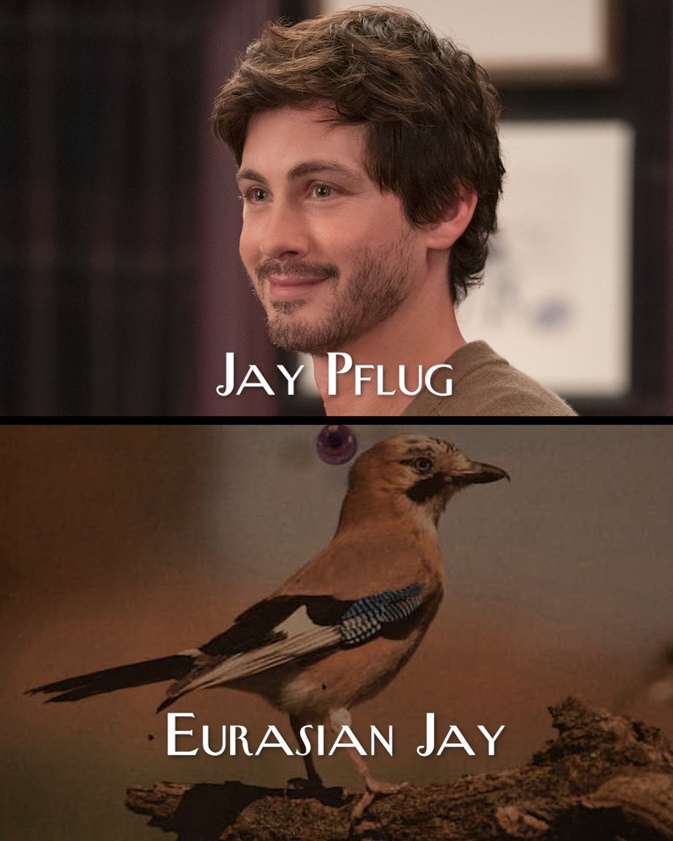 OnlyMurdersHulu's tweet image. Take a peek inside Lester&apos;s ledger. 👀🐦‍⬛ #OMITB