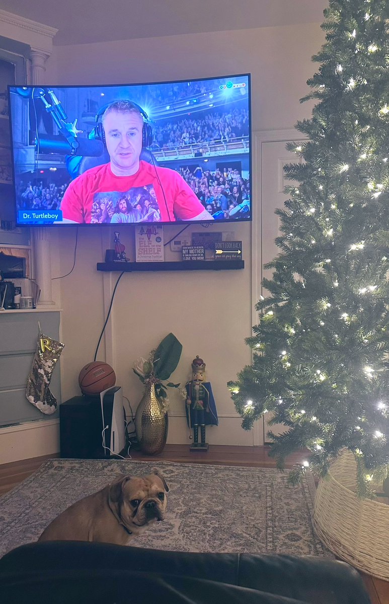 TatemCourt28540's tweet image. Just watching @DoctorTurtleboy with my #Frenchie Charlie, Clearly he’s a huge fan. 😂🐢🐾🦴🎄                               #Freeturtleboy #frenchbulldog