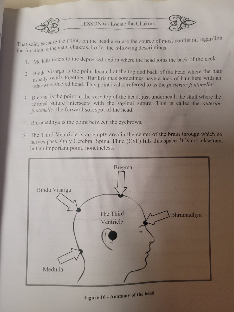 CosmicSyne75337's tweet image. ✨️ 3rd Eye and our 'Spiritual Antenna' ✨️

#Ajna #3rdeye #Bindu #esoteric #nadi