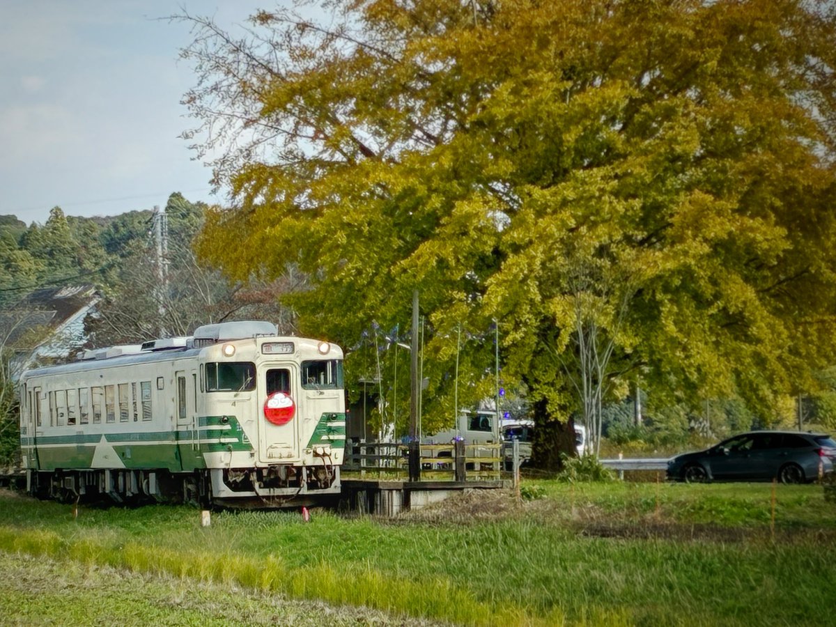 キシエ (@KisshiYu) / Posts / X