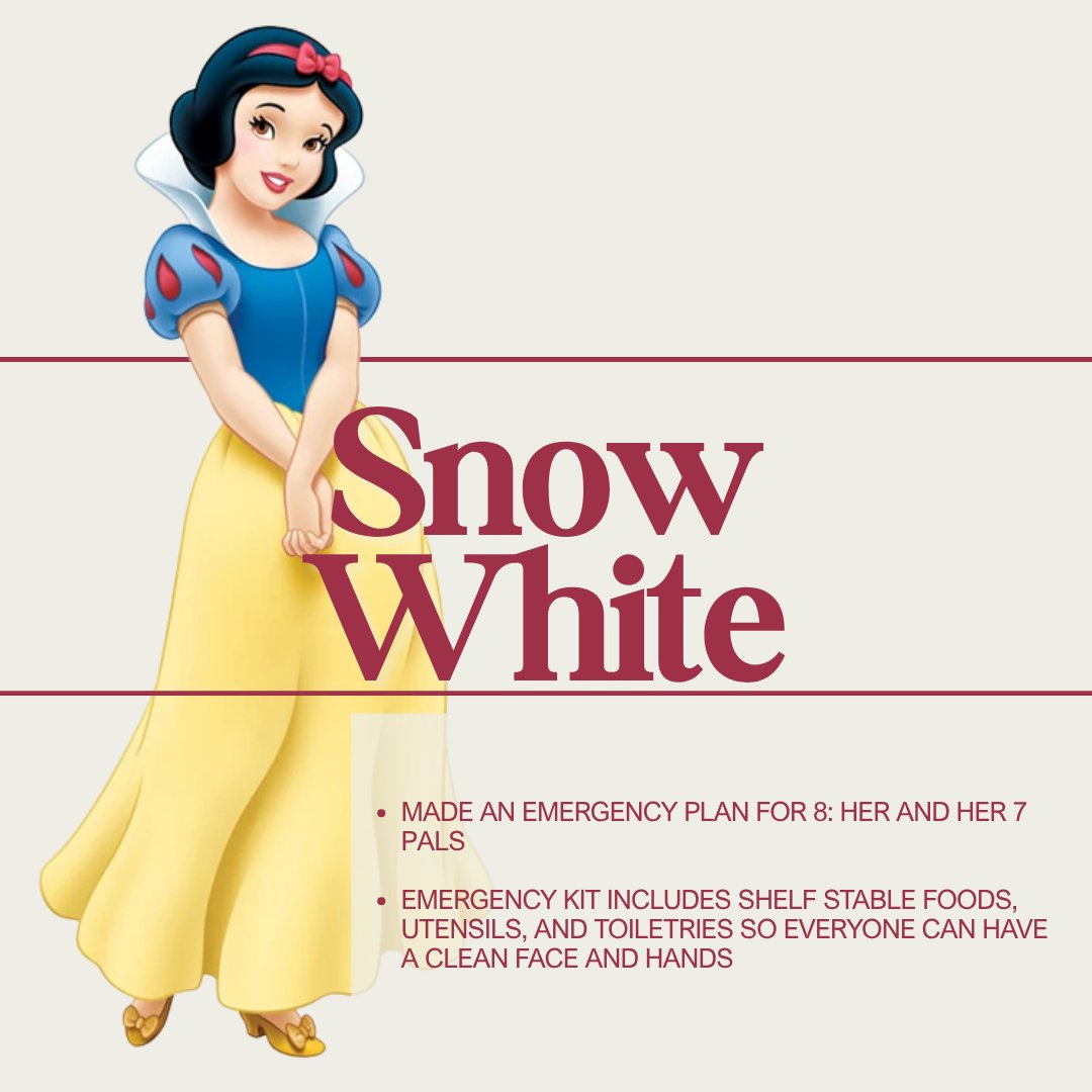 SF_emergency's tweet photo. It's #NationalPrincessDay so prepare like a princess. https://t.co/SlW8vTsPix