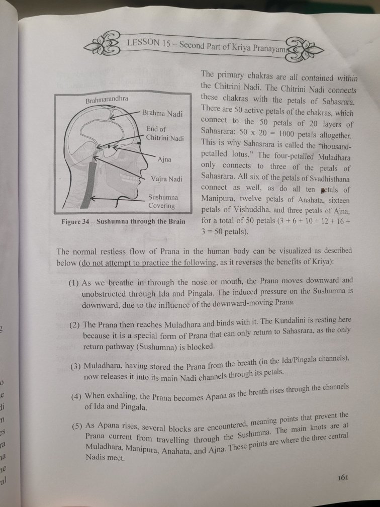 CosmicSyne75337's tweet image. ✨️ 3rd Eye and our 'Spiritual Antenna' ✨️

#Ajna #3rdeye #Bindu #esoteric #nadi