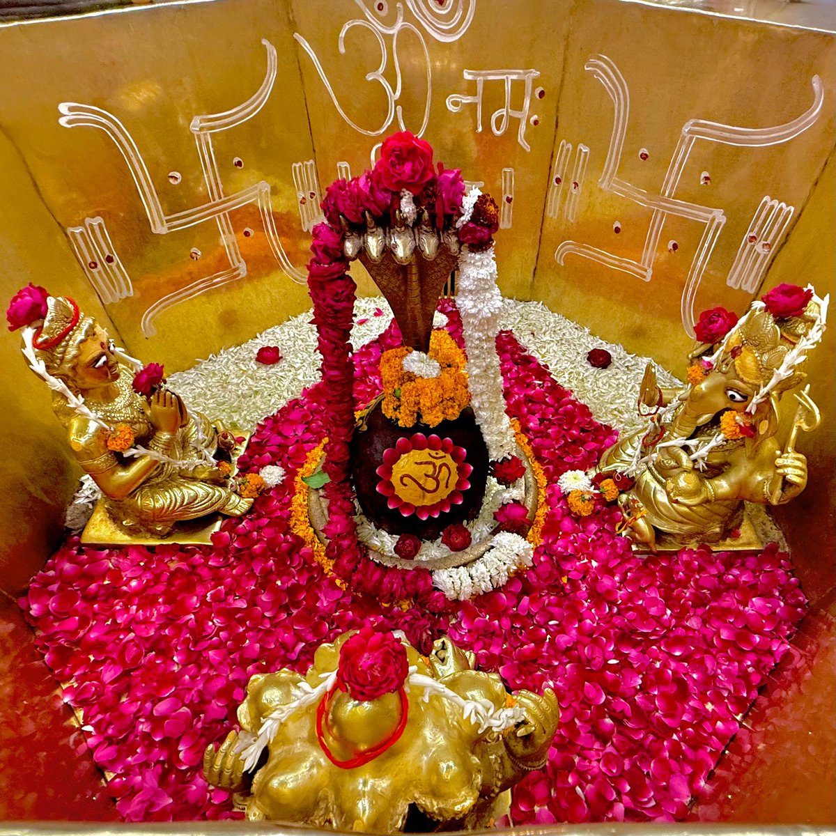 whitesoucepasta's tweet image. 🌸||हर हर महादेव||🌸